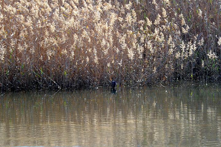 1Saline di Priolo 16.1.2011 (94).jpg